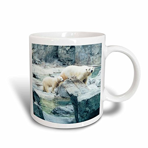 3dRose mug2 47512 Cute Polar Bear Cub Following Mom Ceramic Mug 15Ounce