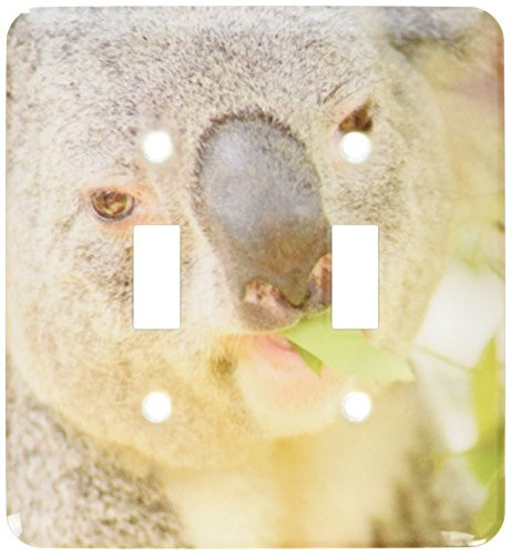 3dRose lsp885442 Queensland Koala Bear Eucalyptus San Diego Zoo Ca Us05 Mpr0030 Maresa Pryor Double Toggle Switch