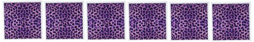 3dRose Purple Cheetah Animal Print  Greeting Cards 6 x 6 inches set of 6 gc203421
