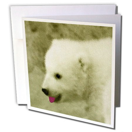 3dRose POLAR BEAR  C  Greeting Cards 6 x 6 inches set of 12 gc83662