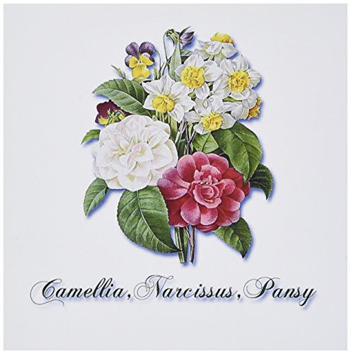 3dRose Camellia Narcissus Pansy Botanical Print Bouquet of Spring Flowers  Greeting Cards 6 x 6 inches set of 12 gc1711702