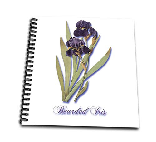 3dRose db1712121 Bearded Iris Botanical Print of Dark Purple Flowers with OrangeDrawing Book 8 by 8Inch
