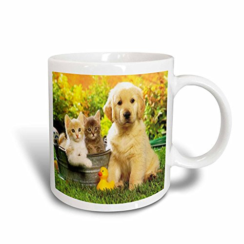 3dRose mug552533So Cute Lab Puppy n Kittens Magic Transforming Mug 11 oz Multicolor