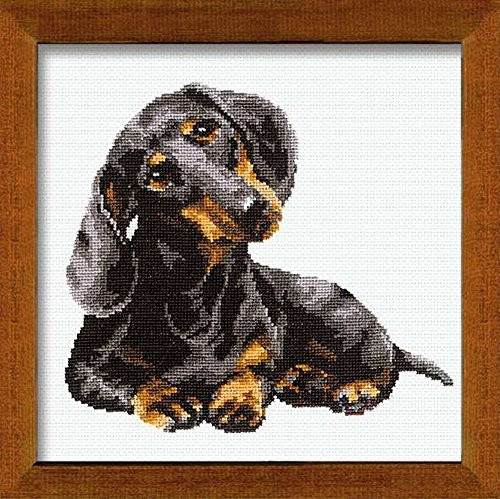 RIOLIS 16 Count Dachshund Counted Cross Stitch Kit, 9.75 by 9.75-Inch