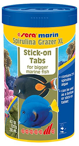 Sera 45017 Marine Spirulina Grazer One Size