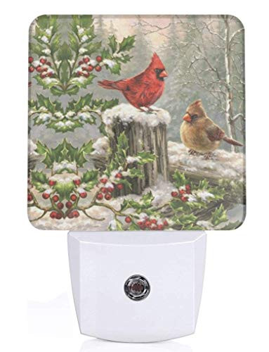 Cardinal Birds  Plug in Night Light  Auto Dusk to Dawn Sensor  LED Night Lights for Adult  Light for Bedroom  Kitchen