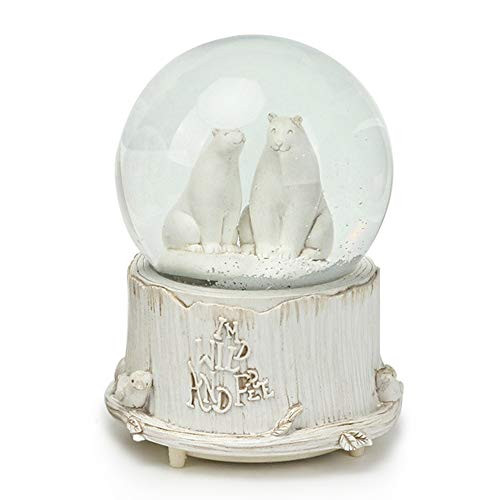 SURPRIZON Personalized Snow Globe Musical Box with Colorful Changing LED Lights Home Decor Christmas Brithday Polar Bear