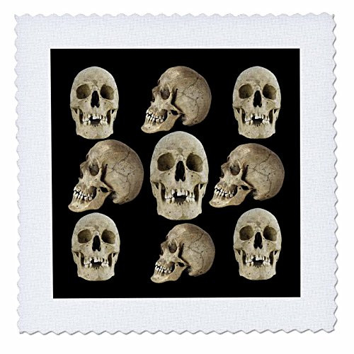 3dRose qs_53793_4 Skull Pattern Quilt Square, 12 by 12"