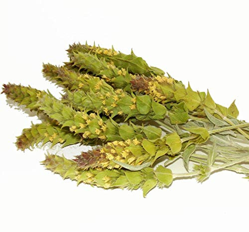 Sparta Natura Greek Mountain Tea Sideritis Scardica with Purple Tips Fresh Harvest 2020 Healthy AND Delicious Home Remedy 2 oz Sustainable Farming Herbal CaffeineFree Antioxidant