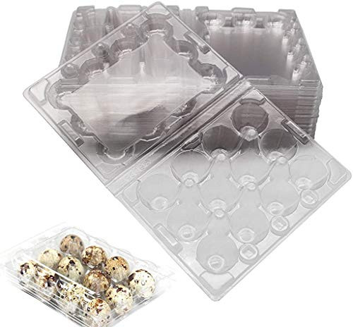 N  A Quail Egg Cartons Each Holds 12 Quail Eggs Bulk Carton for Small Eggs Quail Pheasant Pigeon Grouse 20