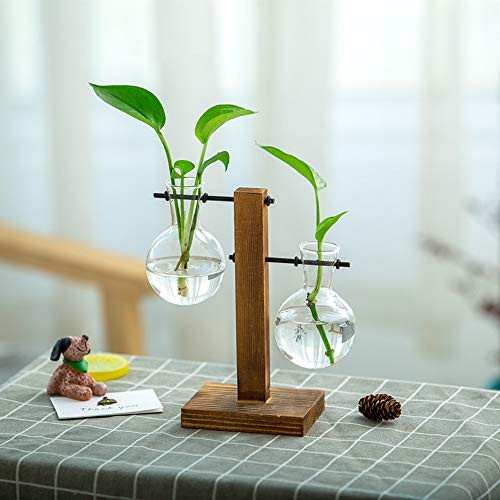 LACKINGONE Bulb Vase Desktop Plant Terrarium Glass Planter with Retro Solid Wooden Stand and Metal Swivel Holder Hydroponics Plants Home Decor B