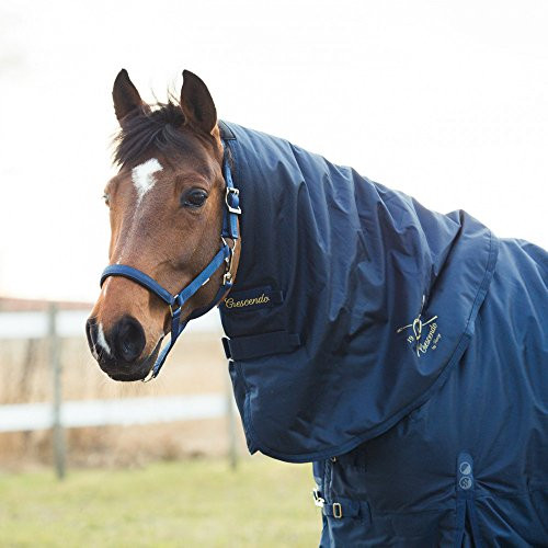 HORZE Crescendo Holbrook Hood 250Gsm Peacoat Dark Blue  72