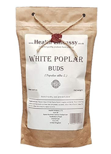 White Poplar Buds Populus Alba L  HealthEmbassy  100 Natural 100g