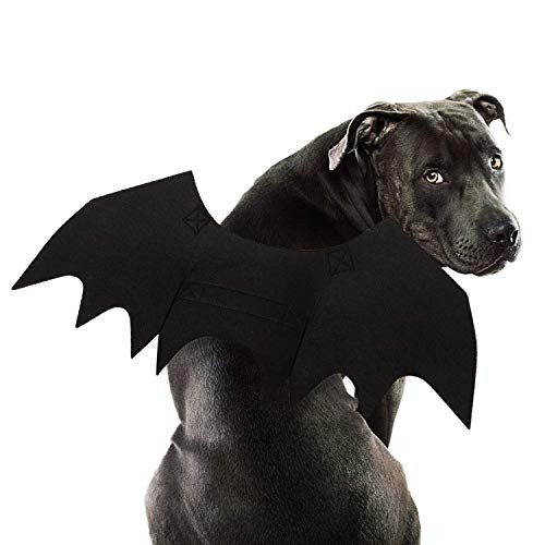 RYPET Dog Bat Costume  Halloween Pet Costume Bat Wings Cosplay Dog Costume Pet Costume for Party L