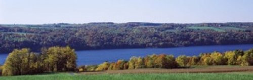 Posterazzi Trees at the lakeside Owasco Finger Lakes New York State USA Poster Print 36 x 12 Posterazzi Trees at the lakeside Owasco Finger Lakes New York State USA Poster Print 36 x 12