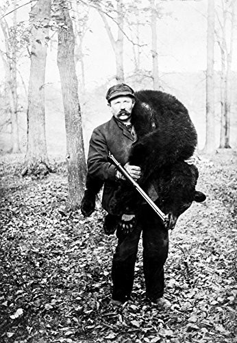 Posterazzi Bear Hunting 1909 Poster Print by Science Source 18 x 24 Varies