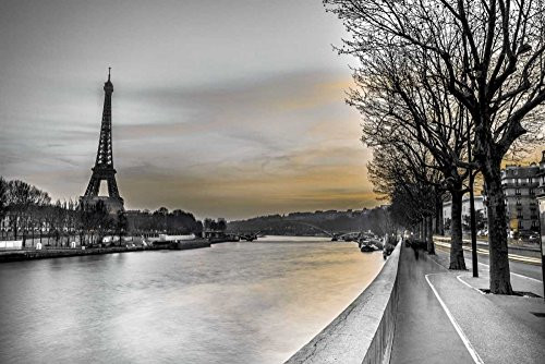 Posterazzi Collection River Seine and The Eiffel Tower Poster Print by Assaf Frank 18 x 12