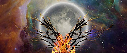 Posterazzi PSTRFF201295S Mystic Tree with Bonfire in Moonlight Vivid Universe Photo Print 11 x 17 Multi