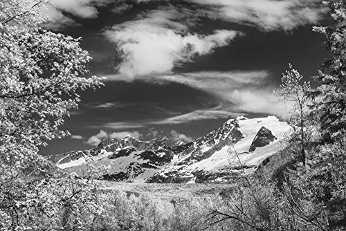 Posterazzi DPI12550781 View from Moose Lake Towers Mendenhall Glacier Recreation Area Tongass National Forest Alaska United States of America Framed Print 19 x 12 Multi