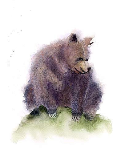 Posterazzi PDXOG1072SMALL Bear Photo Print 18 x 24 Multi