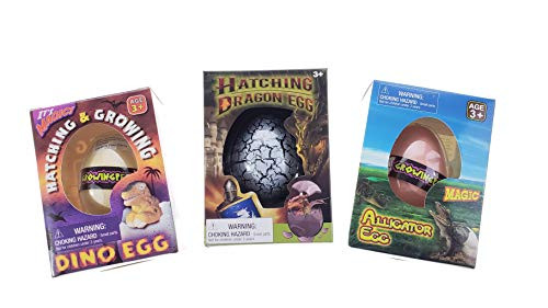 Master Toys  Novelties Surprise Growing Hatching Egg  Hatch and Grow for Easter Gifts Baskets and Egg Hunts  Dragon Alligator  Dino 3 Pack
