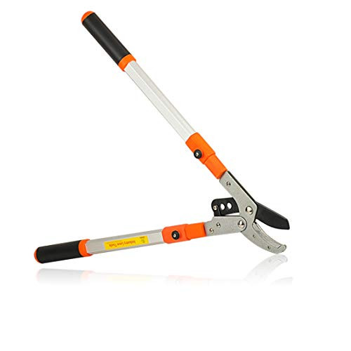TMAI 28~40 Extendable Anvil Lopper Pruning Lopper Tree Pruner with Aluminium Lightweight Handle Garden Pruning for Tree Trimmer Branch Cutter Hand Loppers Up to 19 Cutting Capacity TMAI 28~40 Extendable Anvil Lopper Pruning Lopper Tree Pruner with Aluminium Lightweight Handle Garden Pruning for Tree Trimmer Branch Cutter Hand Loppers Up to 19 Cutting Capacity
