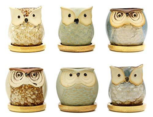 Goldblue 2.5 Inch Owl Pot Ceramic Flowing Glaze Succulent Plant Pot with Bamboo Drip Tray Cactus Plant Pot Flower Pot Container Planter
