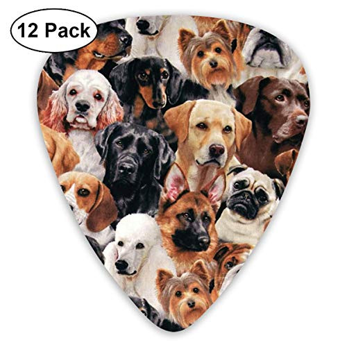 Many Dogs Guitar Picks 12Pack Guitar Picks For Acoustic Guitars Includes Thin Used For Ukulele And Other Instruments