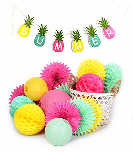 PAPER JAZZ Summer Party Photo Booth Props Pineapple Banner Popsicle Banner Lantern Pompom Pinwheel Fan kit for Hawaiian Tropical Luau Tiki Beach Party Fiesta Decoration (Summer Banner)