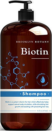 Brooklyn Botany Biotin Shampoo for Hair Growth and Volume  Anti Dandruff Shampoo  Volumizing and Nourishing Hair Thickening Shampoo for Hair Loss and Thinning Hair  For All Hair Types  16 Oz