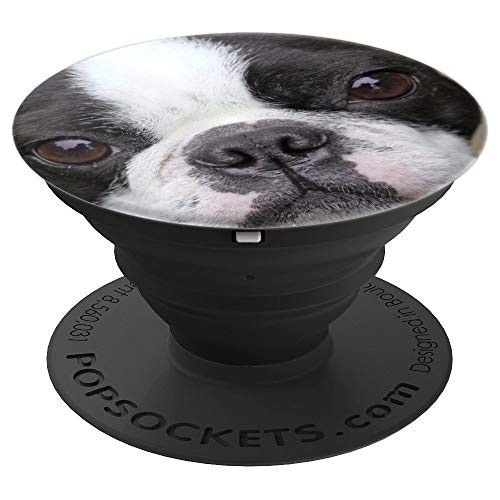 Boston Terrier Cute Dog Pet Animal Dogs Gift PopSockets Grip and Stand for Phones and Tablets Boston Terrier Cute Dog Pet Animal Dogs Gift PopSockets Grip and Stand for Phones and Tablets
