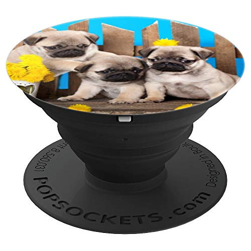 Pugs Cute Dog Pet Animal Dogs Gift PopSockets Grip and Stand for Phones and Tablets Pugs Cute Dog Pet Animal Dogs Gift PopSockets Grip and Stand for Phones and Tablets