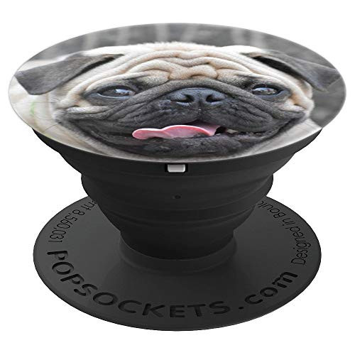 White PUG Fawn Gift Accessory Cute Dog Face Portrait PUGS PopSockets Grip and Stand for Phones and Tablets White PUG Fawn Gift Accessory Cute Dog Face Portrait PUGS PopSockets Grip and Stand for Phones and Tablets