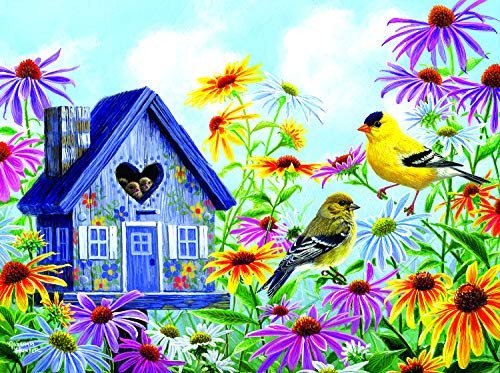 Sunsout 2019 Tweethearts by Artist Abraham Hunter 1000 Piece Birds Jigsaw Puzzle