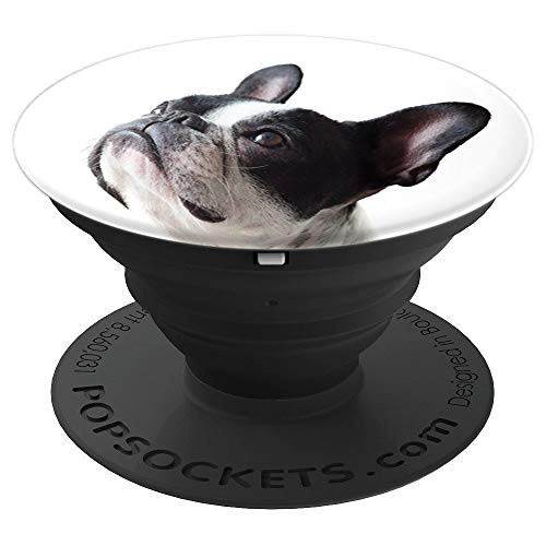 Cute Boston Terrier Dog PopSockets Grip and Stand for Phones and Tablets Cute Boston Terrier Dog PopSockets Grip and Stand for Phones and Tablets