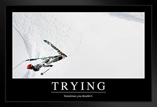 Trying Sometimes You Shouldnt Funny Demotivational Black Wood Framed Art Poster 14x20