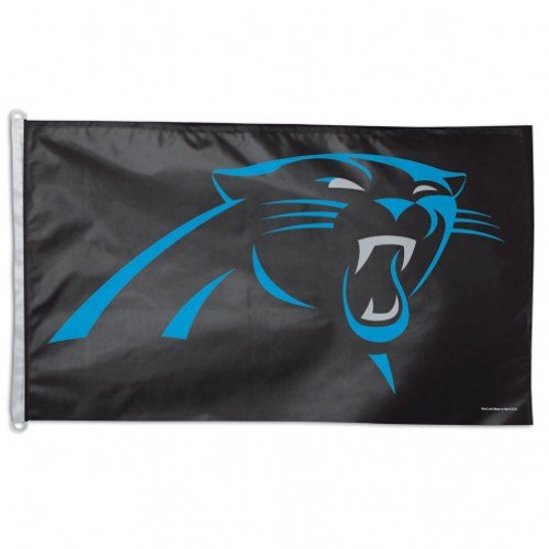 Wincraft Carolina Panthers NFL 3x5 Banner Flag 36x60
