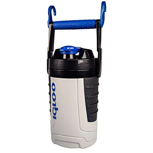 Igloo Proformance 1 Quart Sport Jug-Ash Gray/Majestic Blue, Gray