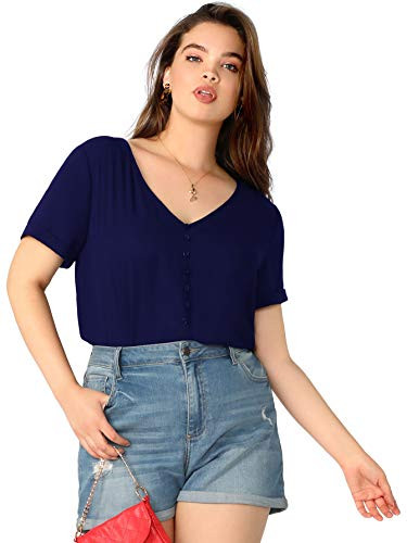 Milumia Womens Casual Plus Size V Neck Button Front Sheer Solid Blouse Tops Blue Large Plus