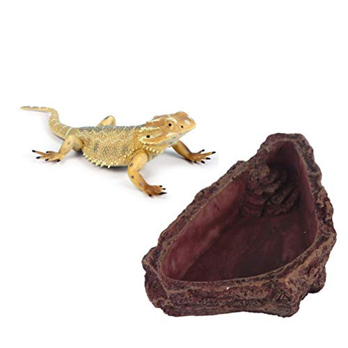 POPETPOP Resin Gecko Feeding Bowl Lizard Food Bowl Bearded Dragon Feeder Imitation Tree Bark Reptile Food and Water Dish Feeding Basin for Frog Spider Wall Lizard POPETPOP Resin Gecko Feeding Bowl Lizard Food Bowl Bearded Dragon Feeder Imitation Tree Bark Reptile Food and Water Dish Feeding Basin for Frog Spider Wall Lizard