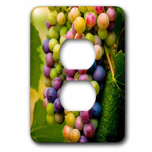 3dRose lsp_209295_6 USA, Washington, Okanogan Valley Pinot grapes ripen in vineyard 2 Plug Outlet Cover