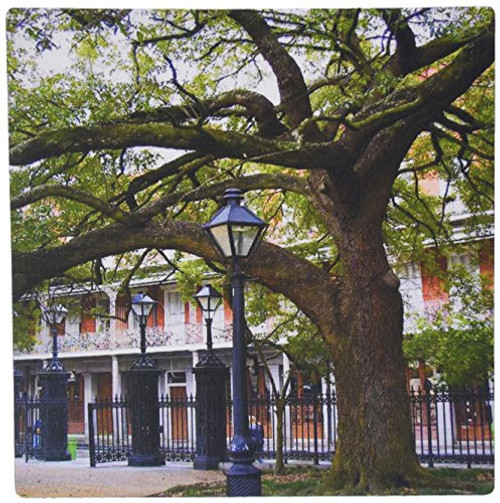 3dRose LLC 8 x 8 x 0.25 Inches Mouse Pad, Historic New Orleans (mp_44930_1) 3dRose LLC 8 x 8 x 0.25 Inches Mouse Pad, Historic New Orleans (mp_44930_1)