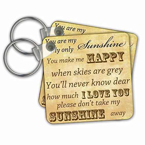 3dRose Vintage Songs You are My Sunshine - Love Songs Key Chains, Set of 2 (kc_79369_1) 3dRose Vintage Songs You are My Sunshine - Love Songs Key Chains, Set of 2 (kc_79369_1)