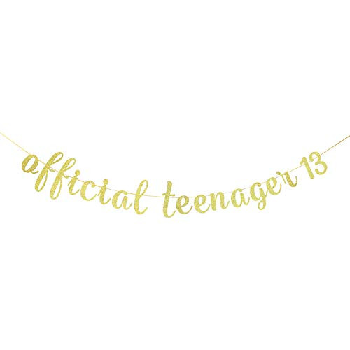 INNORU Gold Glitter Official Teenager 13 Banner 13th Birthday Banner Thirteen Years Old Funny Birthday Party Bunting Decoration INNORU Gold Glitter Official Teenager 13 Banner 13th Birthday Banner Thirteen Years Old Funny Birthday Party Bunting Decoration