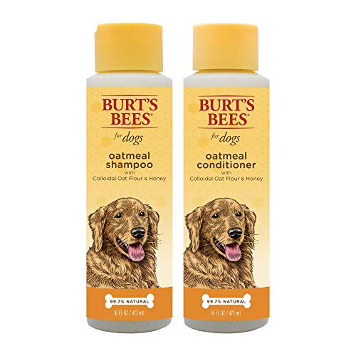 Combo Pack Burts Bees for Dogs Oatmeal Dog Shampoo and Conditioner with Colloidal Oat Flour and Honey  Cruelty Free Sulfate  Paraben Free pH Balanced for Dogs  Made in The USA Combo Pack Burts Bees for Dogs Oatmeal Dog Shampoo and Conditioner with Colloidal Oat Flour and Honey  Cruelty Free Sulfate  Paraben Free pH Balanced for Dogs  Made in The USA