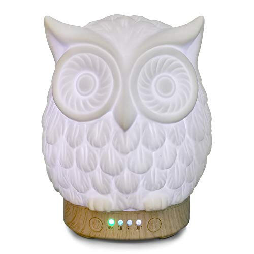 Earnest Living Essential Oil Diffuser Owl White Ceramic Diffuser Timers 100 ml Night Lights and Auto Off Function Home Office Humidifier Aromatherapy Diffusers for Essential Oils