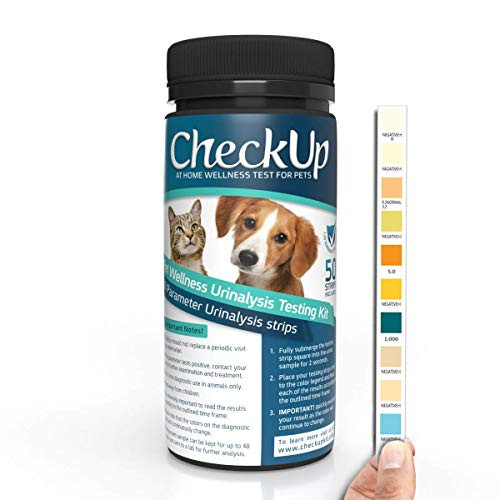CheckUp 10 Parameters Urine Testing Strips for Cats and Dogs x 50  Detects Urobilinogen Glucose Bilirubin Ketone Specific Gravity Blood pH Protein Nitrite Leukocytes
