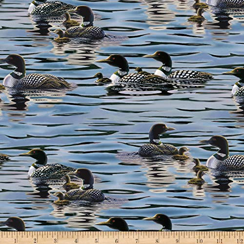 Northcott Tranquil Moments Loons Blue Multi Fabric by the Yard