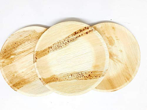 Disposable Plates Areca Palm Leaf Plates 10 inch Round Flat EcoFriendly Disposable BioDegradable Dinner Plates EcoBamboo Plates For Parties 25 Pack