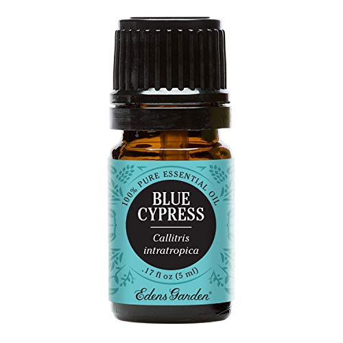 Edens Garden Blue Cypress Essential Oil 100 Pure Therapeutic Grade Anxiety Skin Care 5 ml Edens Garden Blue Cypress Essential Oil 100 Pure Therapeutic Grade Anxiety Skin Care 5 ml